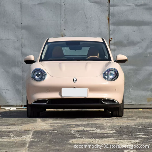 Hot Sale New Energy Vehicle ORA Good Cat Small Car  New Electric Vehicle